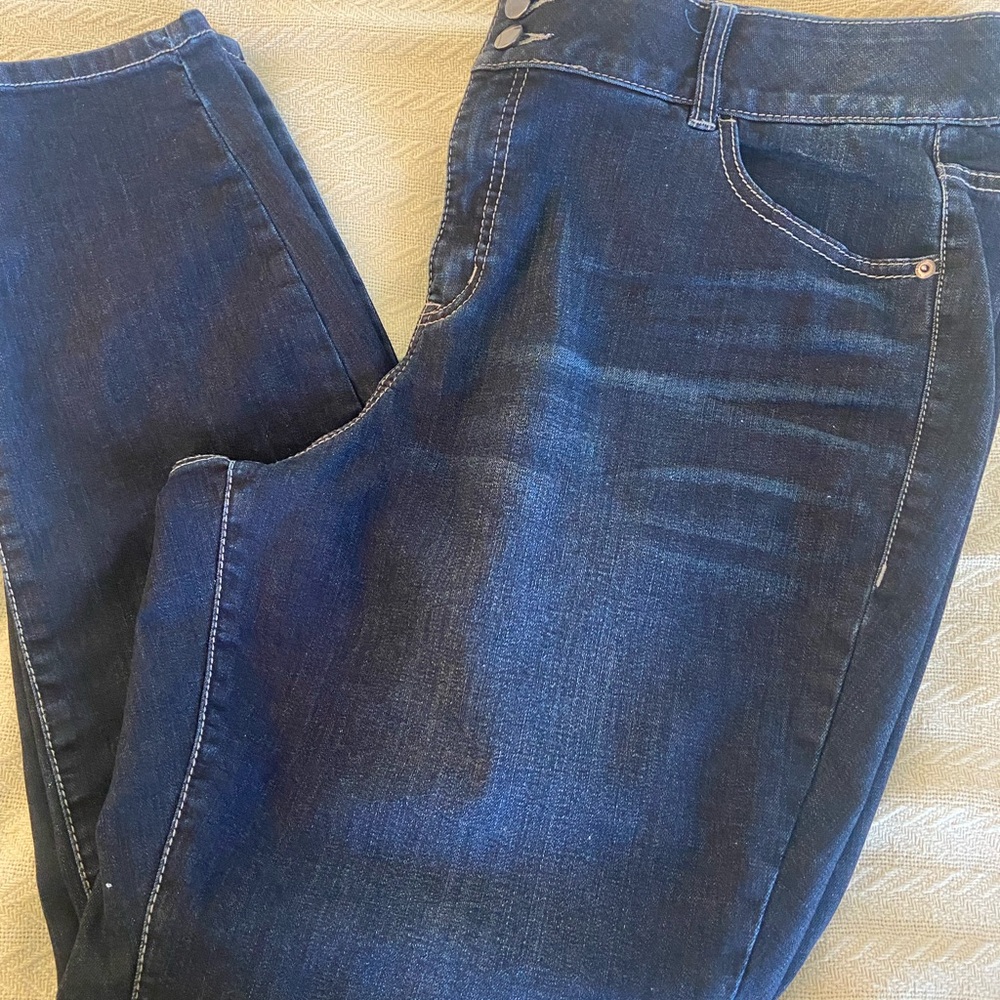 Lane Bryant Blue Skinny Jeans with‎ Subtle Fading